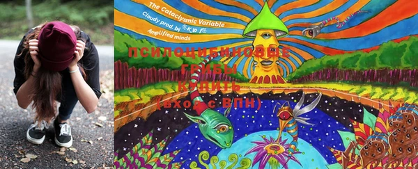 MESCALINE Коряжма
