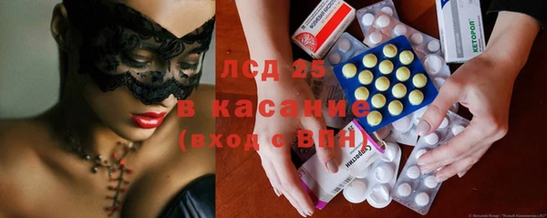 гидра Снежногорск