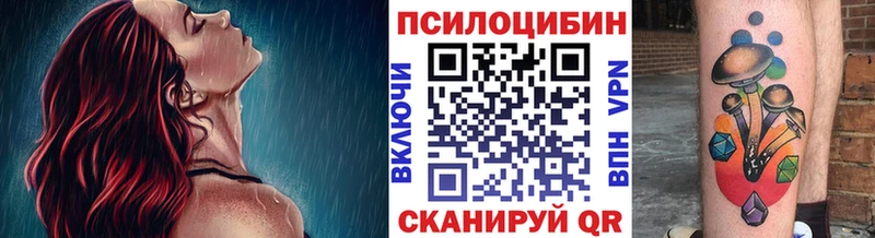 Купить Белореченск Галлюциногенные грибы Psilocybe